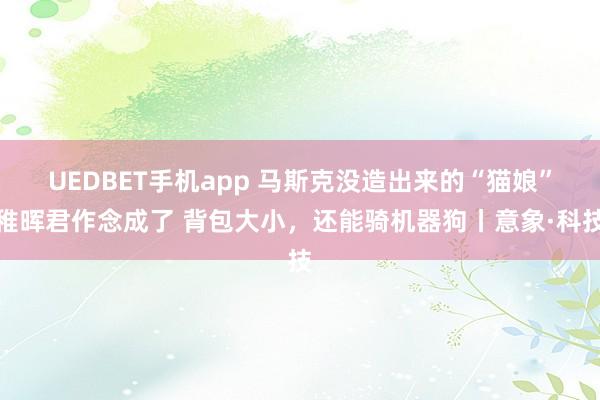 UEDBET手机app 马斯克没造出来的“猫娘”稚晖君作念成了 背包大小，还能骑机器狗丨意象·科技