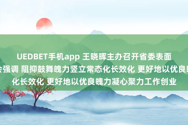 UEDBET手机app 王晓晖主办召开省委表面学习中心组专题学习会强调 阻抑鼓舞魄力竖立常态化长效化 更好地以优良魄力凝心聚力工作创业