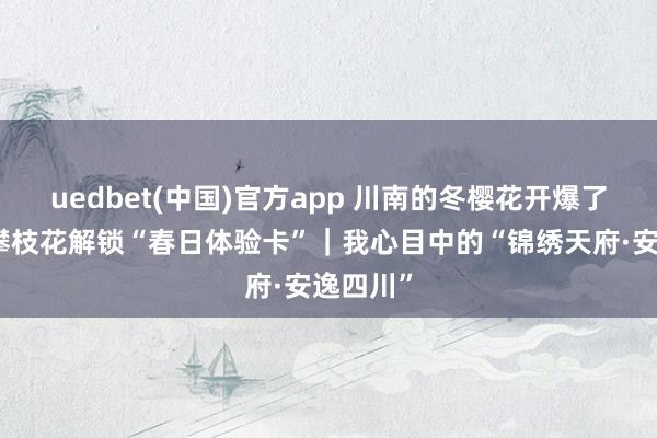uedbet(中国)官方app 川南的冬樱花开爆了！快来攀枝花解锁“春日体验卡”｜我心目中的“锦绣天府·安逸四川”