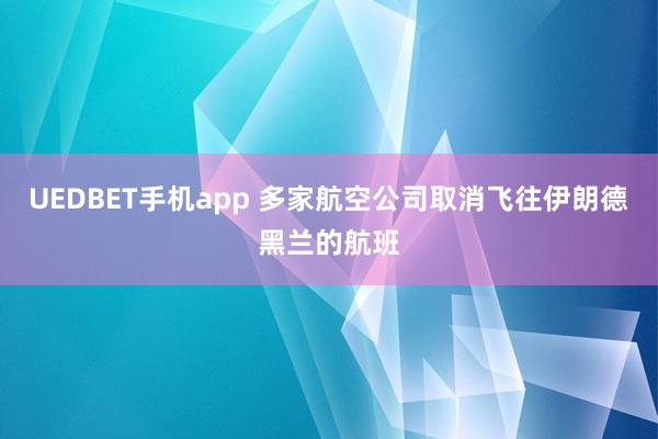 UEDBET手机app 多家航空公司取消飞往伊朗德黑兰的航班