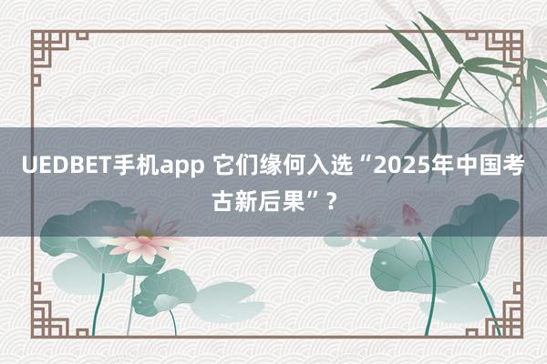UEDBET手机app 它们缘何入选“2025年中国考古新后果”？