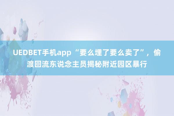 UEDBET手机app “要么埋了要么卖了”，偷渡回流东说念主员揭秘附近园区暴行