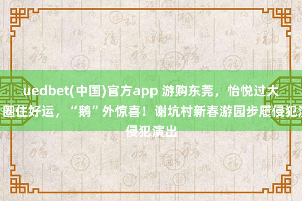 uedbet(中国)官方app 游购东莞,怡悦过大年 | 圈住好运,“鹅”外惊喜!谢坑村新春游园步履侵犯演出