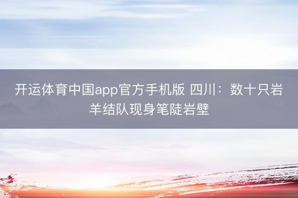 开运体育中国app官方手机版 四川：数十只岩羊结队现身笔陡岩壁