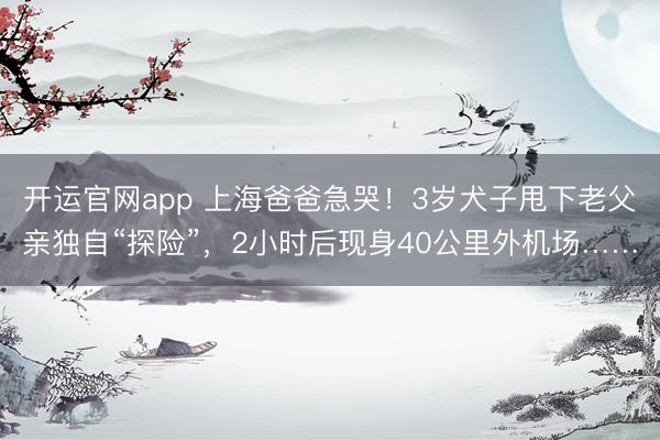 开运官网app 上海爸爸急哭！3岁犬子甩下老父亲独自“探险”，2小时后现身40公里外机场……