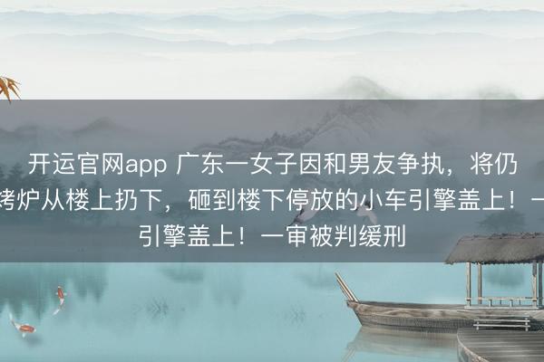 开运官网app 广东一女子因和男友争执，将仍在毁掉的烧烤炉从楼上扔下，砸到楼下停放的小车引擎盖上！一审被判缓刑