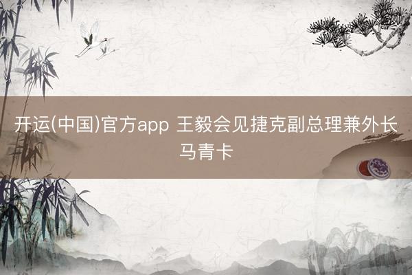 开运(中国)官方app 王毅会见捷克副总理兼外长马青卡
